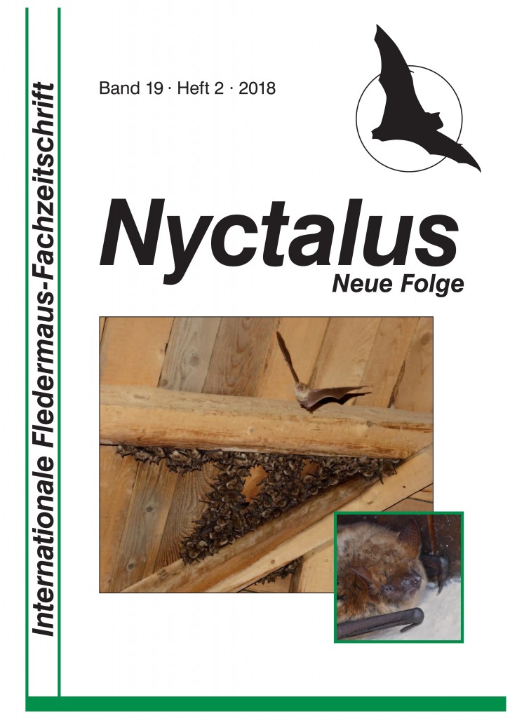 19-2 Nyctalus_Titel