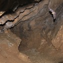 Flugaktivität in der Höhle