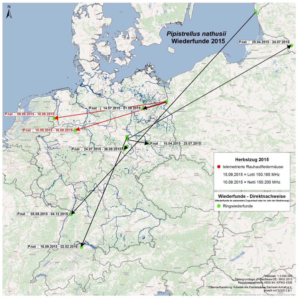 16-direkt-Flug-Wiederfunde_dhdn-2