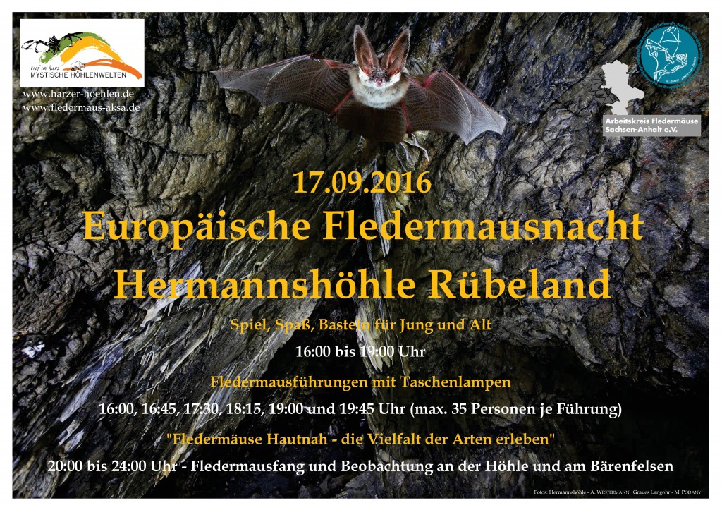 16 Plakat Rübeland FM-Nacht-001