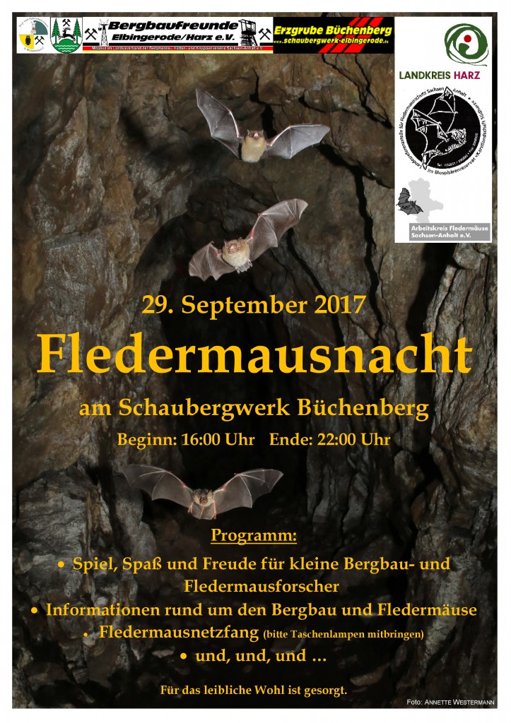 17_Plakat_FM-Nacht_Büchenberg