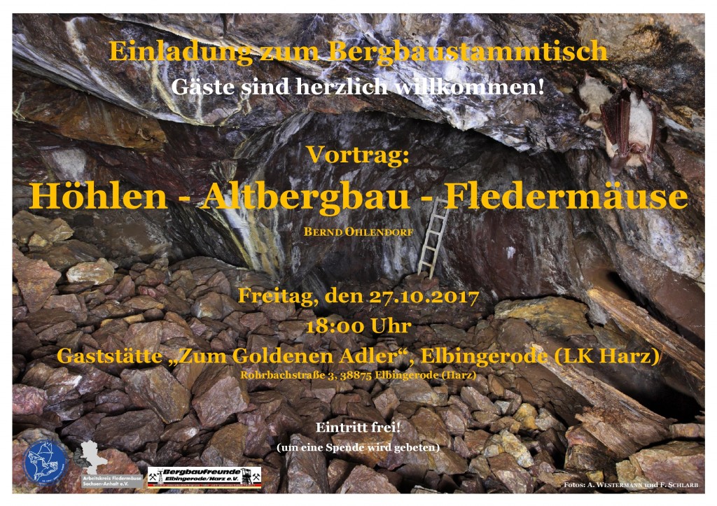 Plakat Vortrag Höhlen - Altbergbau - Fledermäuse