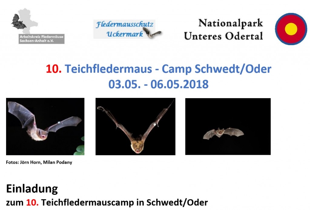 Teich Homepage