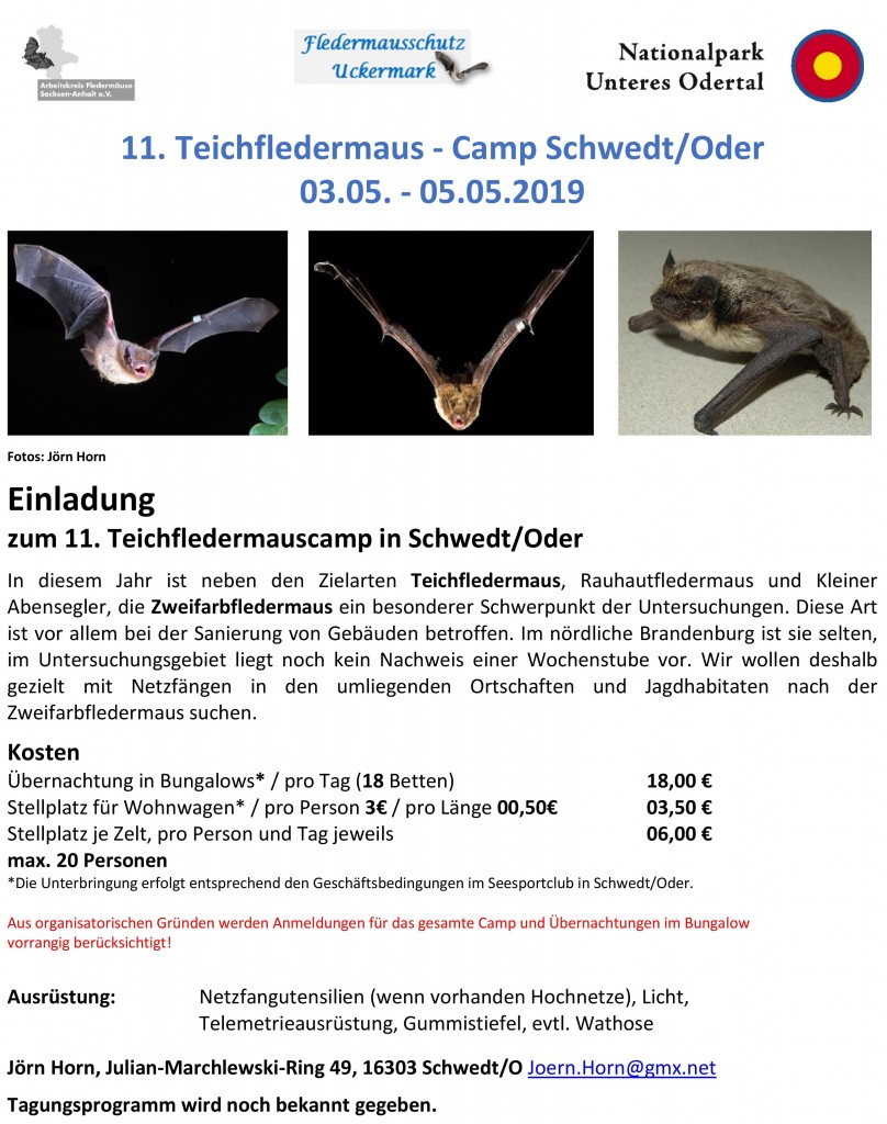 Teichfledermaus Schwedt_2019_ges