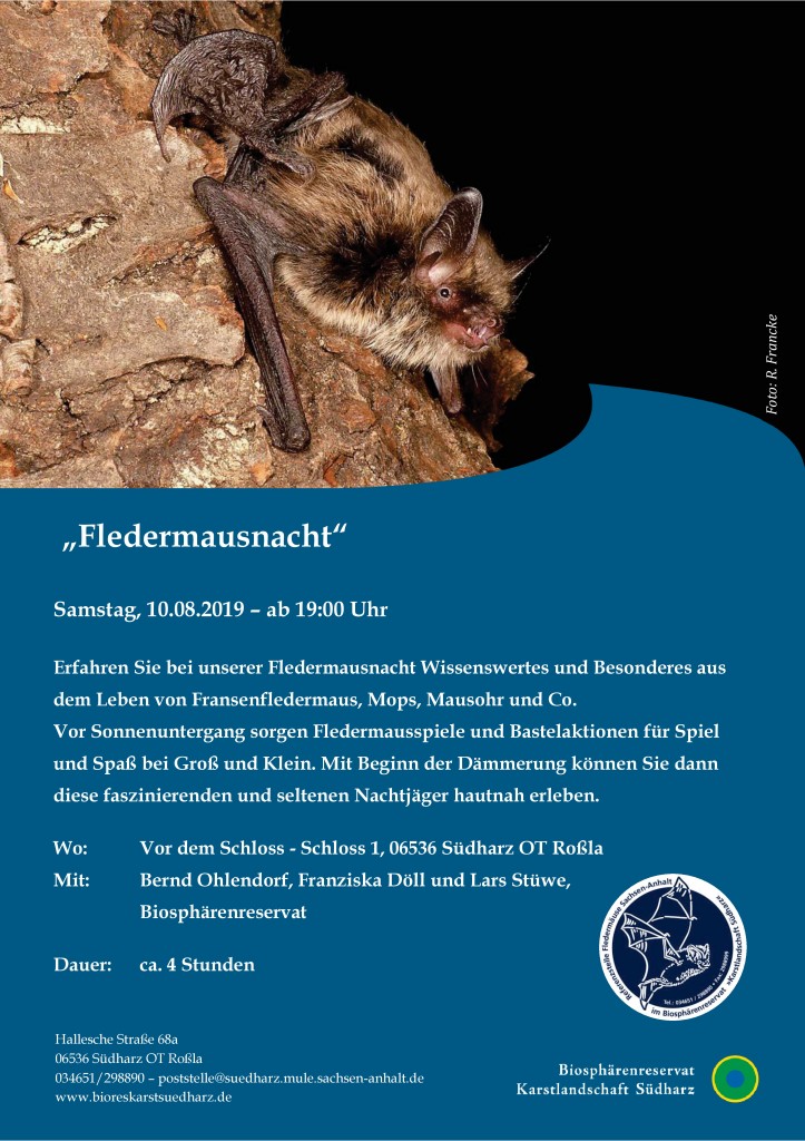 2019_08_10_Fledermausnacht