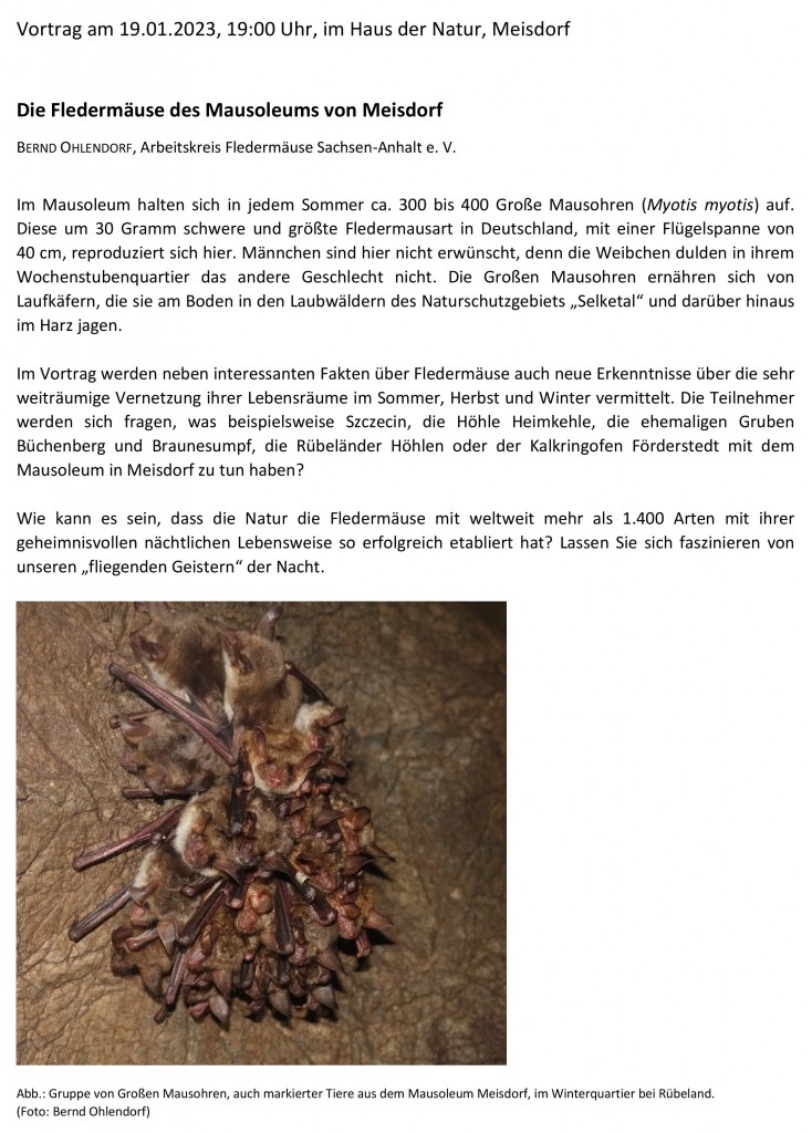 Vortrag_Die Fledermäuse des Mausoleums von Meisdorf