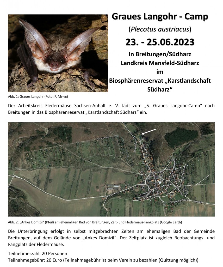 23 Programm_Graues Langohr-Camp_Homepage